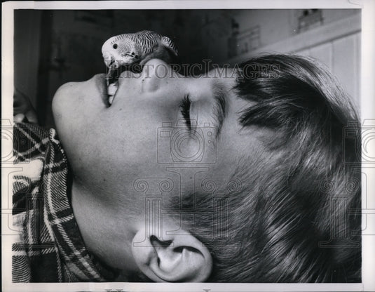 1960 Press Photo New York Richard Maurel feeds his pet parakeet by mouth NYC-Historic Images