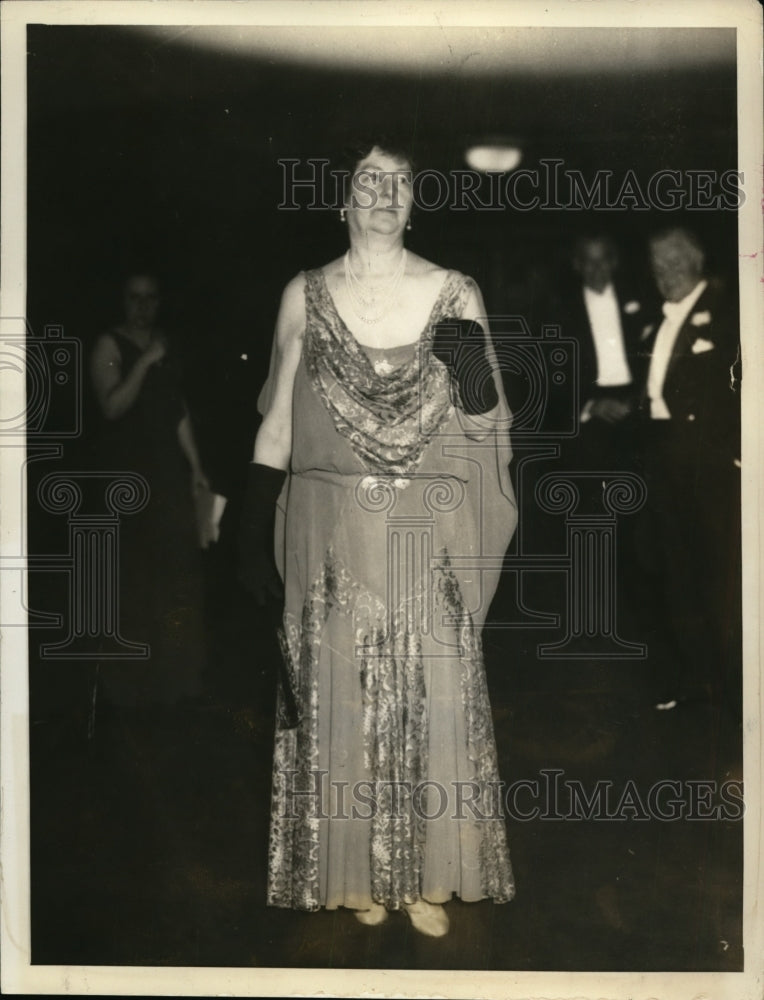 1932 Press Photo New York Mrs Richard T Wilson, Socialite, appear at Opera - Historic Images