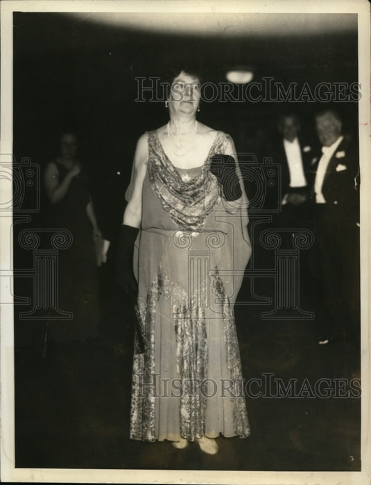 1932 Press Photo New York Mrs Richard T Wilson, Socialite, appear at Opera - Historic Images