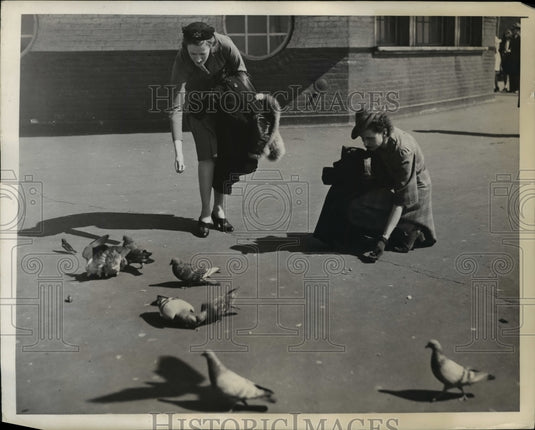 1942 Press Photo Visitors from California feed pigeons at NYC's Battery Park - Historic Images