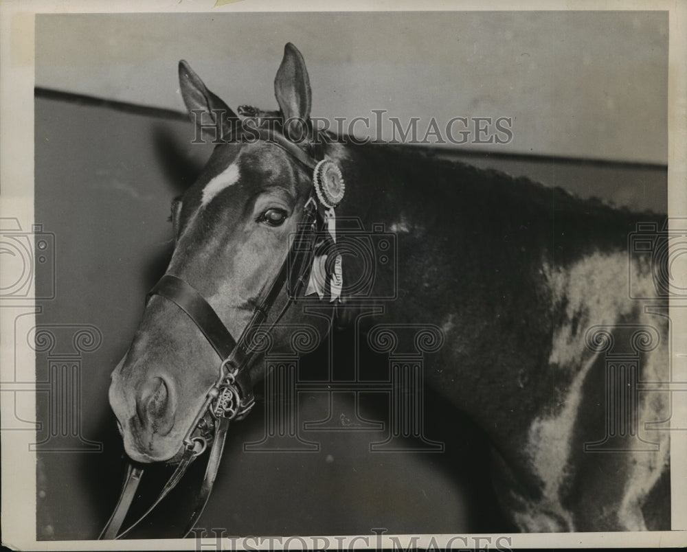 1936 New York Horse is champion jumper NYC-Historic Images