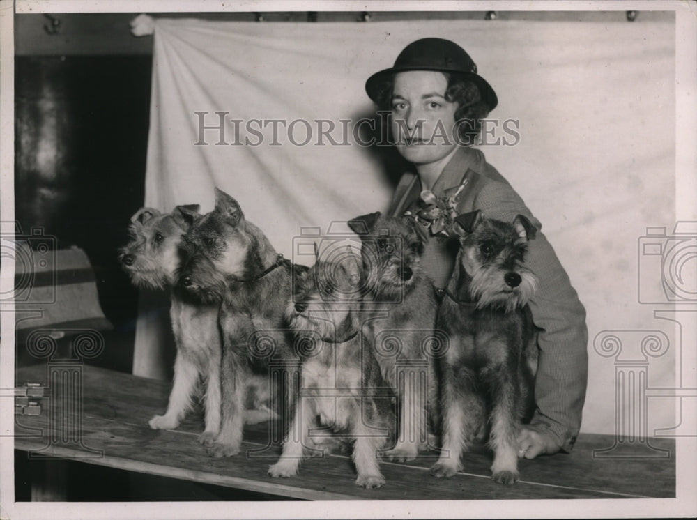 1937 Press Photo New York Mrs. Henry Briggs With Prize Winning Schnauzers NYC - Historic Images