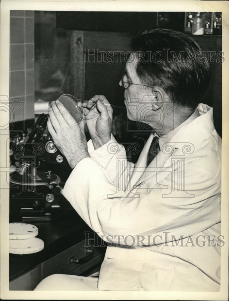 1937 Press Photo New York Doctor Examining Specimens from Hansa Crew Members NYC - Historic Images