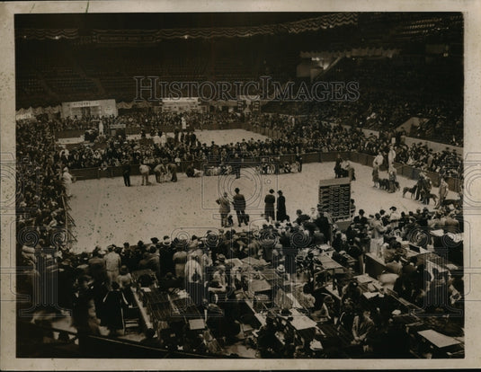 1937 Press Photo New York View of Judging Ring During Sporting Teams Winners NYC-Historic Images