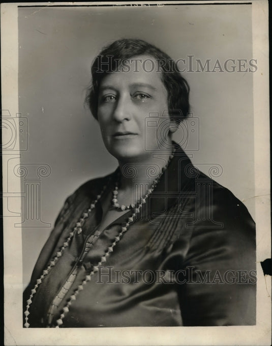 1926 Press Photo New York Mrs Henry Moskowitz Humanitarian Worker NYC - Historic Images