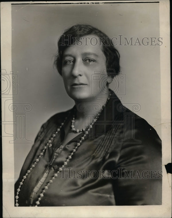 1926 Press Photo New York Mrs Henry Moskowitz Humanitarian Worker NYC ...
