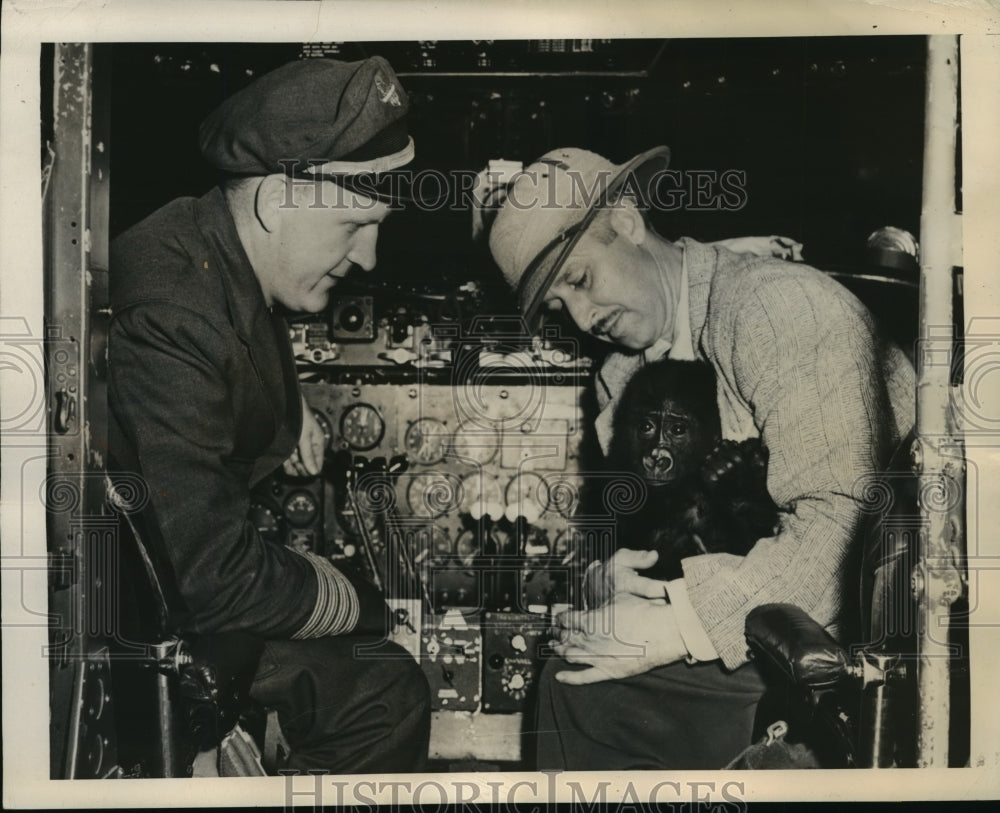 1948 New York R Marlin Perkins holds baby gorilla NYC-Historic Images