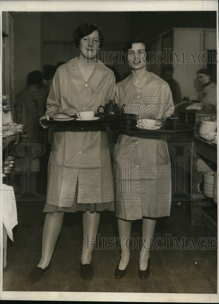 1929 Press Photo NEW YORK AT 16TH INTERNATIONAL FLOWER SHOW NYC - neny21654-Historic Images