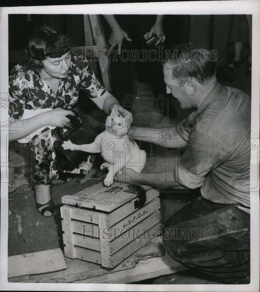 1951 Press Photo New York Tom Morton &amp; Mrs. Vernon Hellar with momma cat NYC-Historic Images