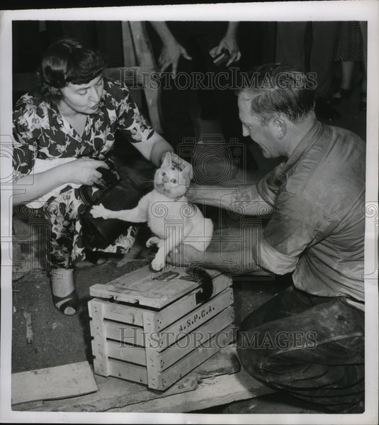 1951 Press Photo New York Tom Morton & Mrs. Vernon Hellar with momma cat NYC-Historic Images