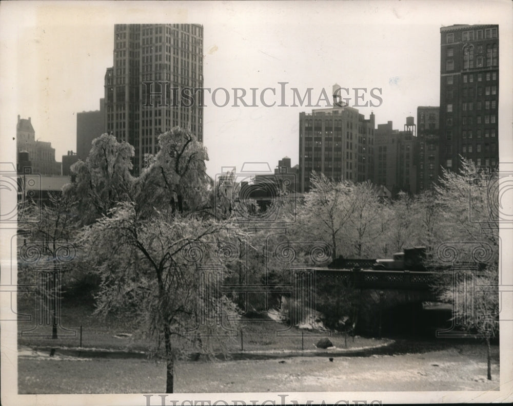 1940 New York Ice covers trees in Central Park in NYC-Historic Images