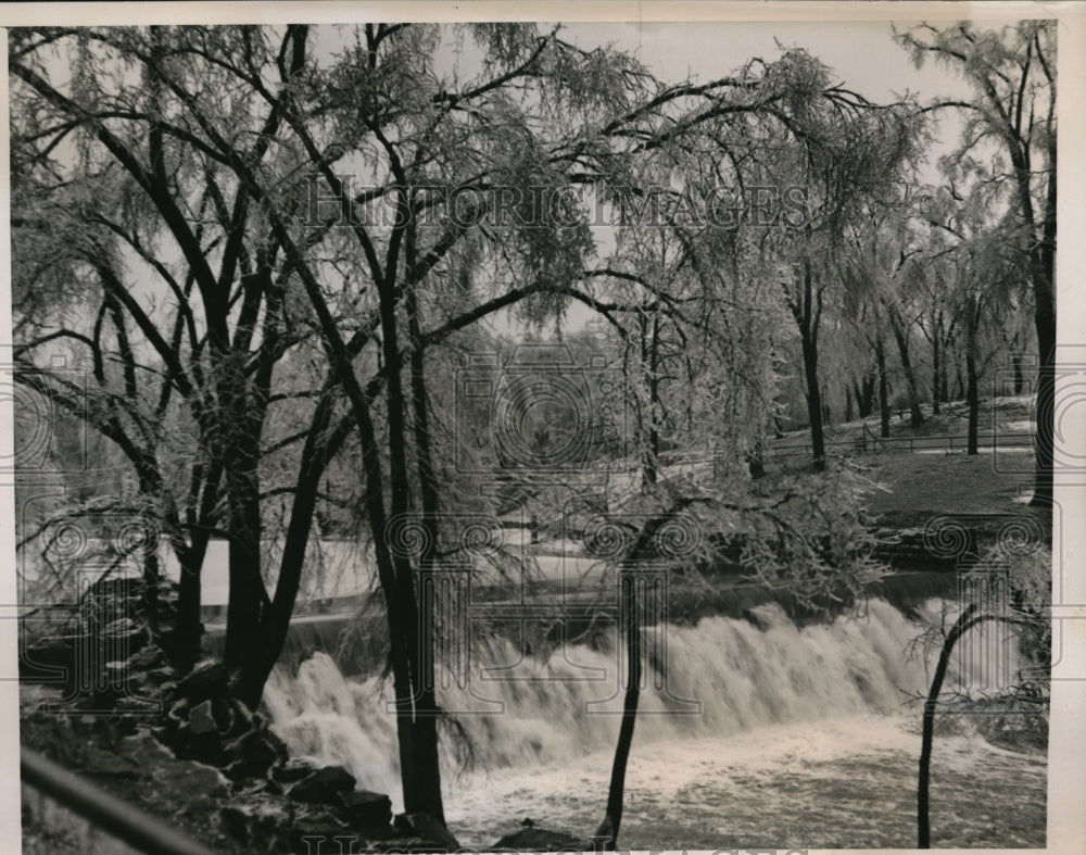 1940 Press Photo New York Ice covered trees in Bronx Park at river falls in NYC-Historic Images