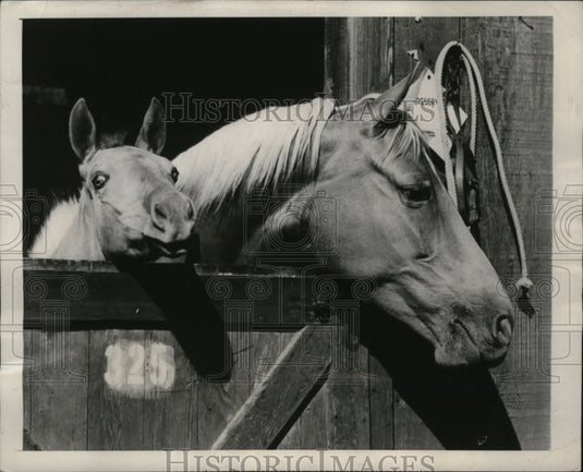 1947 Press Photo NEW YORK PHOTO WINS HONOR AWARD IN NON-PROFESSIONAL CLASS NYC - Historic Images