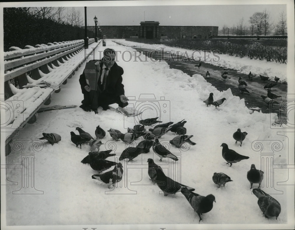 1961 NEW YORK PIGEONS DINE ON SNOW COVERED TABLECLOTH NYC-Historic Images