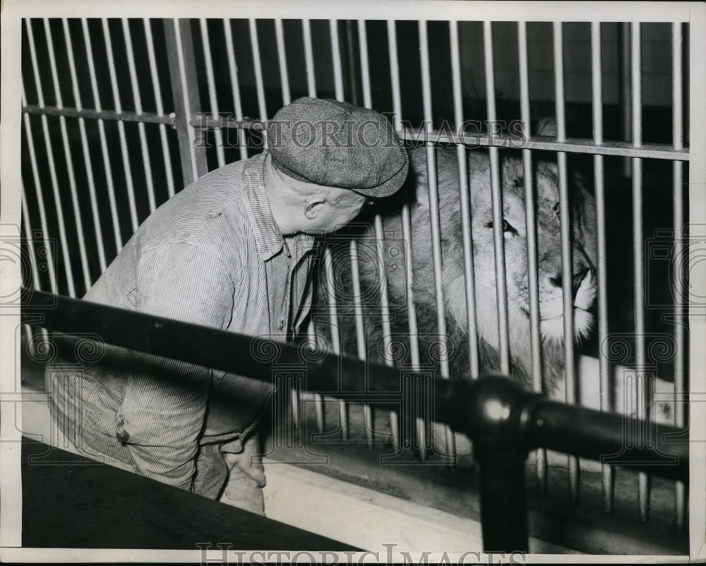 1934 Press Photo New York Lion Keeper Jim Coyle with new lion NYC - Historic Images