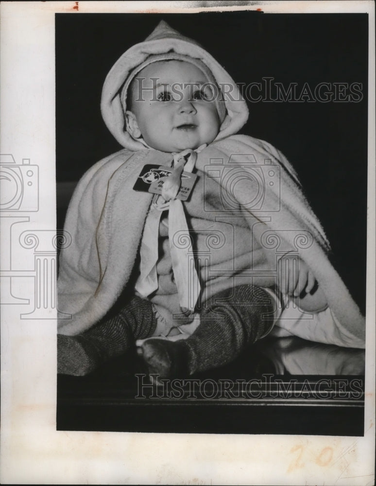 1947 Press Photo New York Something has Normans Attention NYC - neny26352-Historic Images