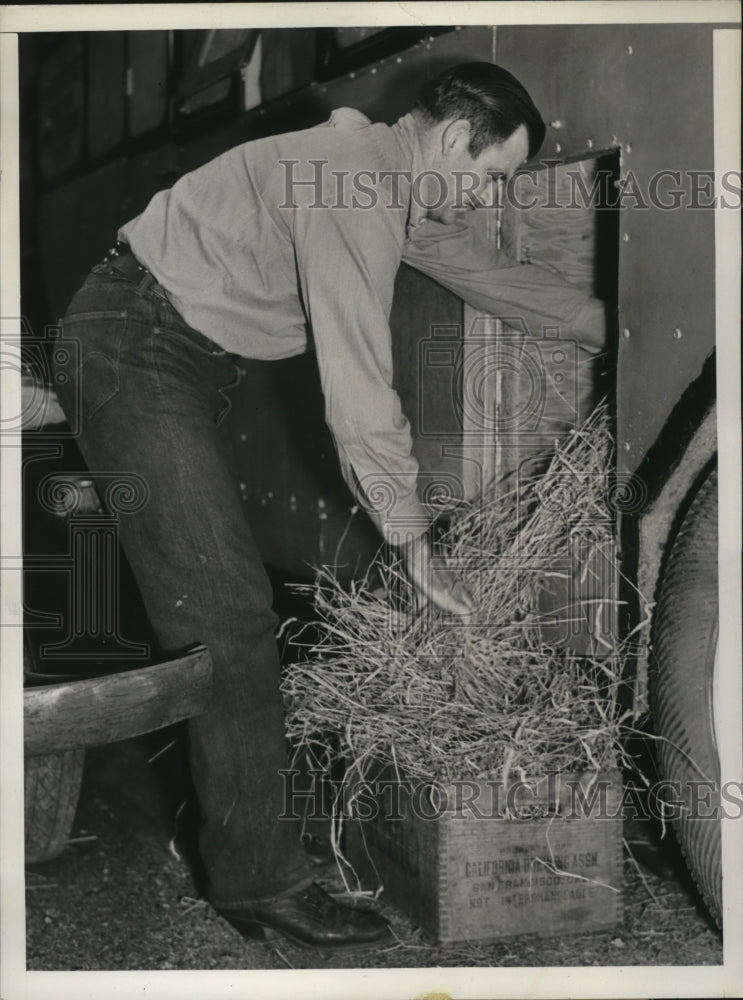 1937 Press Photo New York Texas Tommy cow hand camps with pony Dolly in NYC-Historic Images