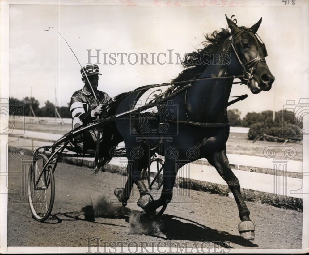 1955 Press Photo Galophone and driver Billy Haughton, Hambletonian contender- Historic Images