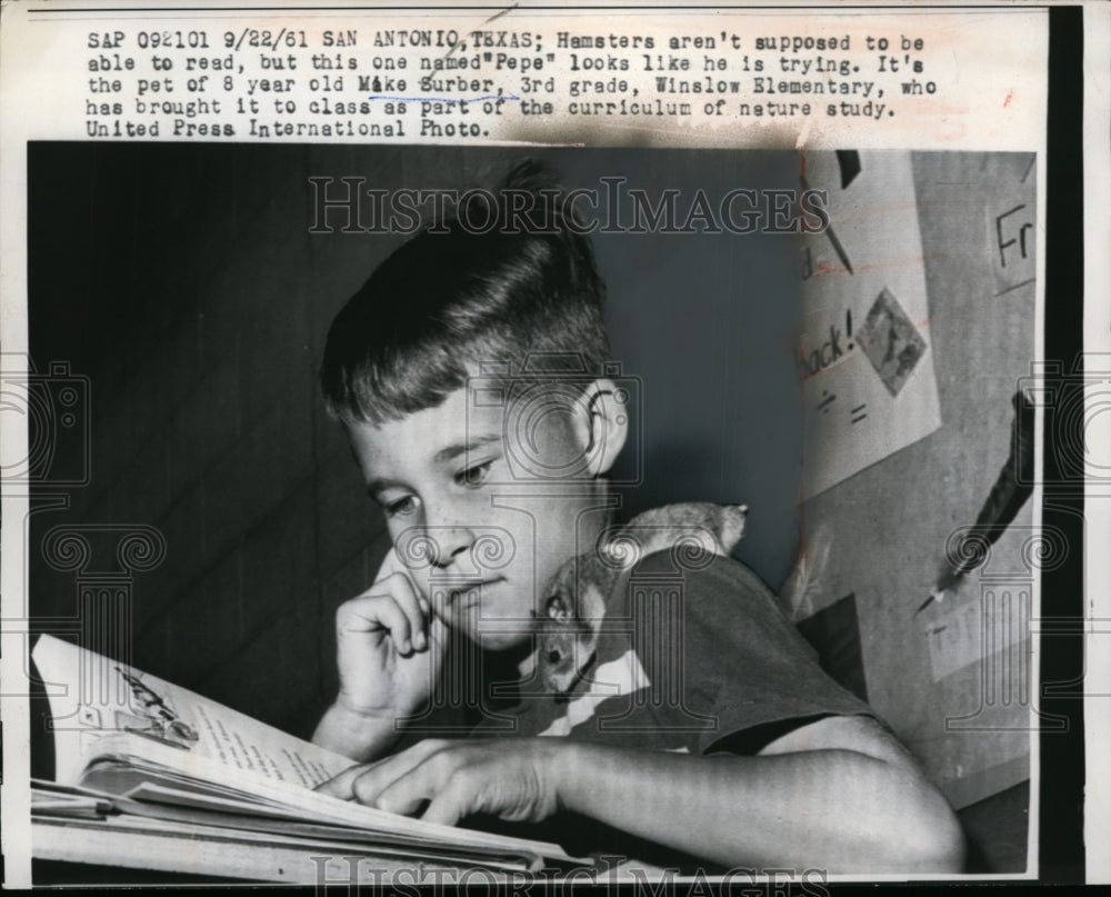 1961 Press Photo Mike Surber and his pet hamster Pepe, at Winslow Elementary - Historic Images