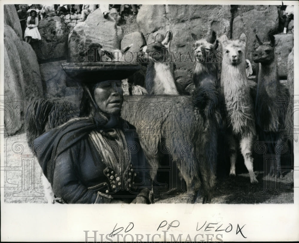 1964 Woman at Inti Raymi Festival with Llamas in Cusco, Peru - Historic Images