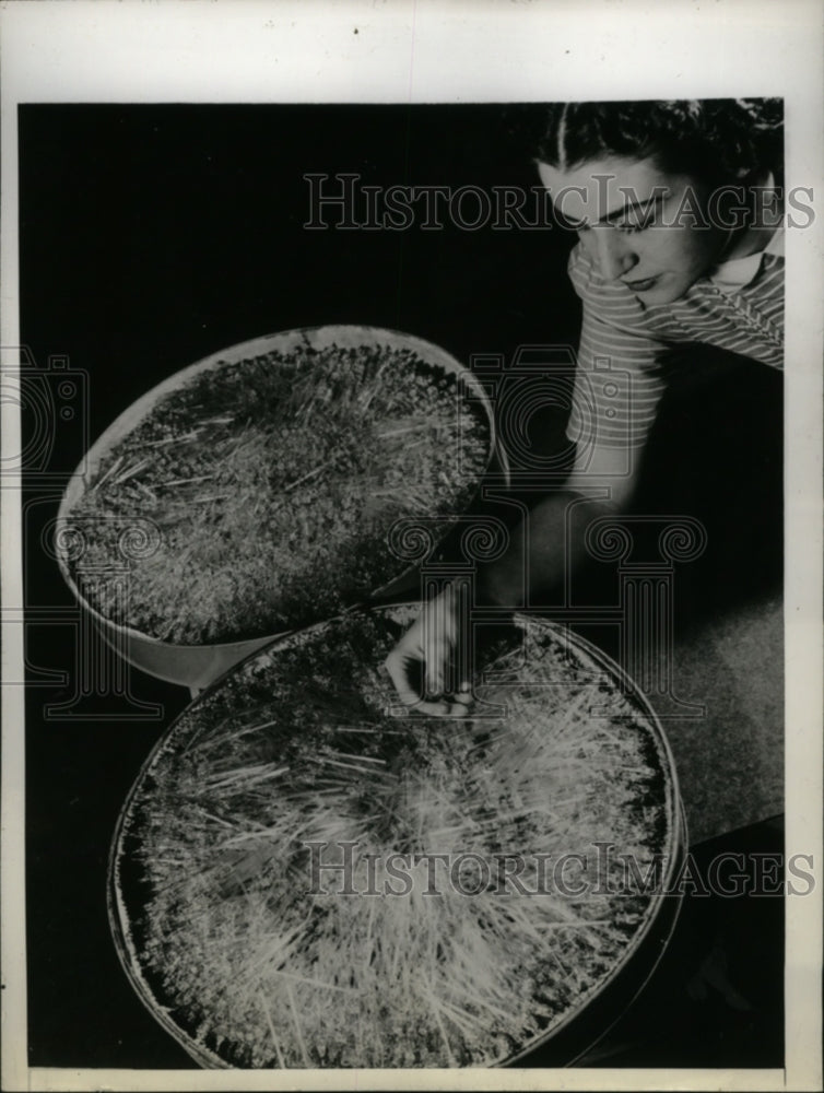 1945 Press Photo Westinghouse Lamp Division Plant in Fairrmont WV - Historic Images