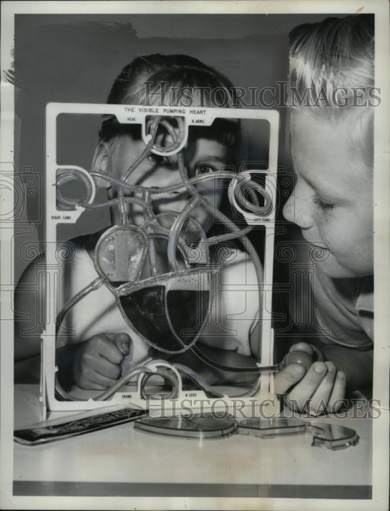 1962 Press Photo Len Wicks &amp; his sister Barbara with visible pumping heart - Historic Images