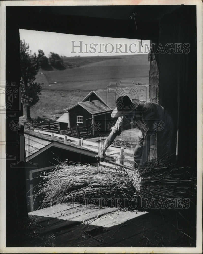 1957 Press Photo farmer working in hay loft - neo06591-Historic Images