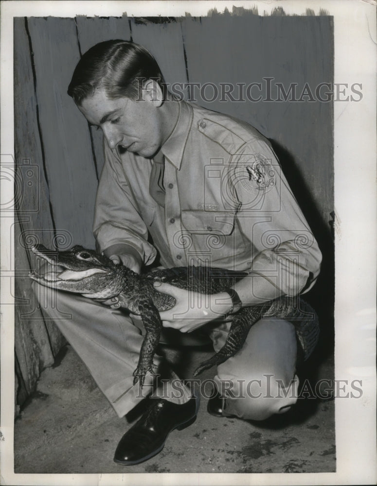 1956 Press Photo Bob Raabe, keeper of The Reptile house with Gator in New York - Historic Images