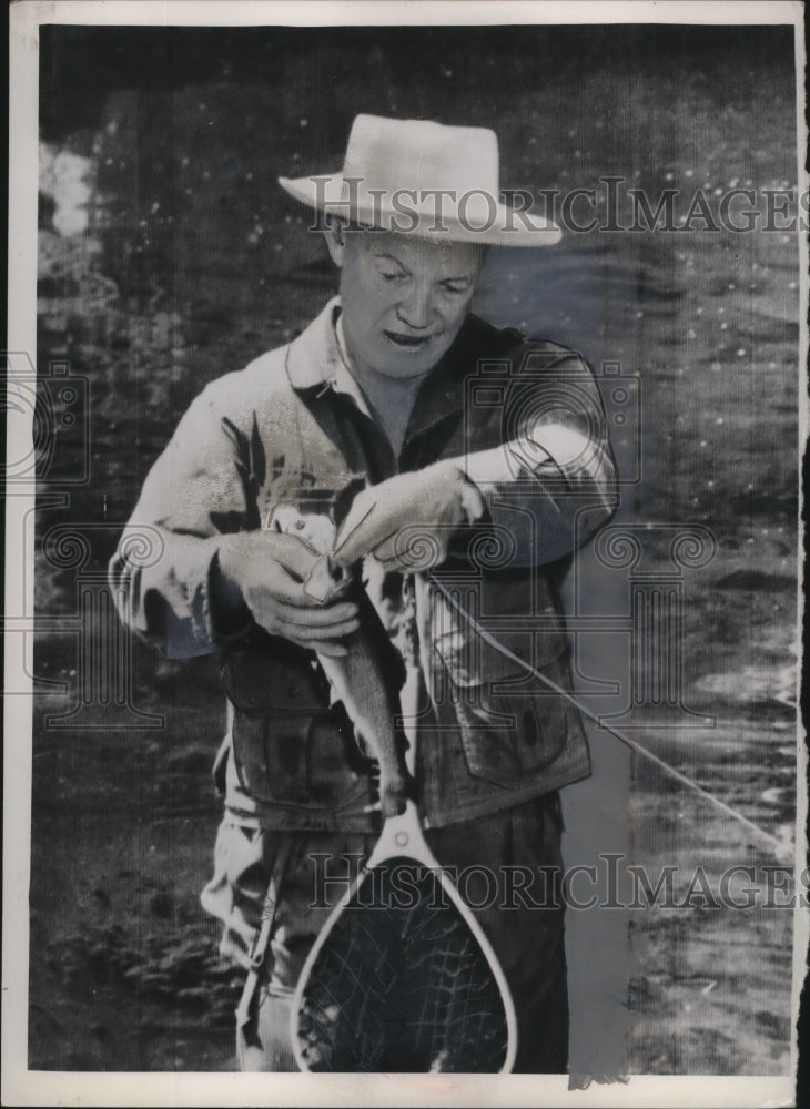 1953 Press Photo President Eisenhower removes hook from fish caught in creek - Historic Images