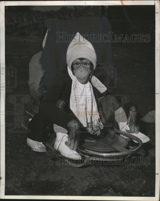 1941 Press Photo Billy & Chimpanzee "Jeannie" - Historic Images