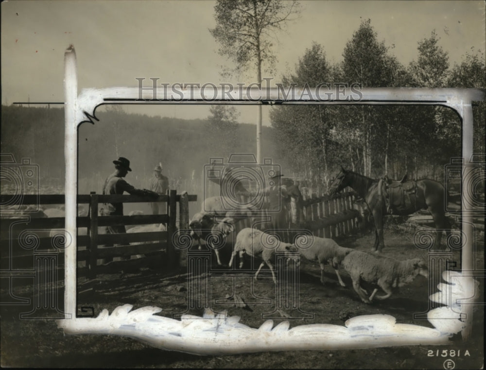 1925 Press Photo Sheep Corral at Wasatch National Forest, Utah - Historic Images