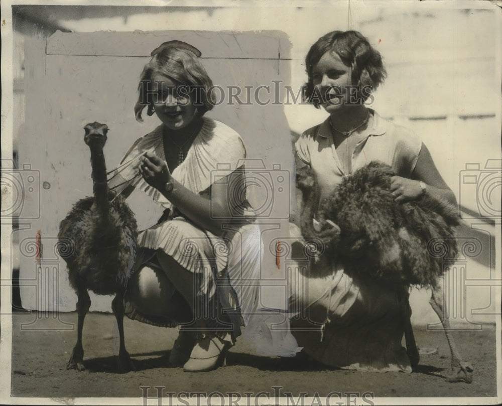 1928 Press Photo Ostrich chicks on exhibit at California show with Pomona girls - Historic Images