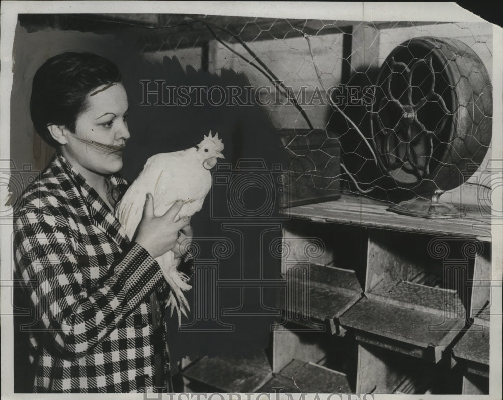 1934 Press Photo Mary Louise Quevli & radio in chicken coop in Tacoma WA - Historic Images