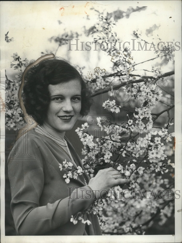 1930 Press Photo Hazel Dow admires cherry blossoms in Washington DC - neo14903-Historic Images