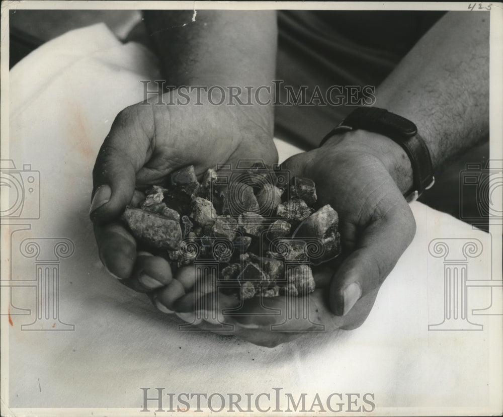 1957 Press Photo Hands Holding Rocks - Historic Images