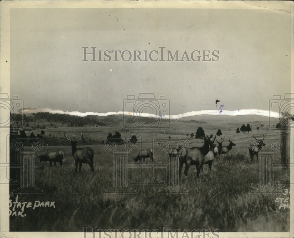 1927 Black Hills South Dakota-Historic Images