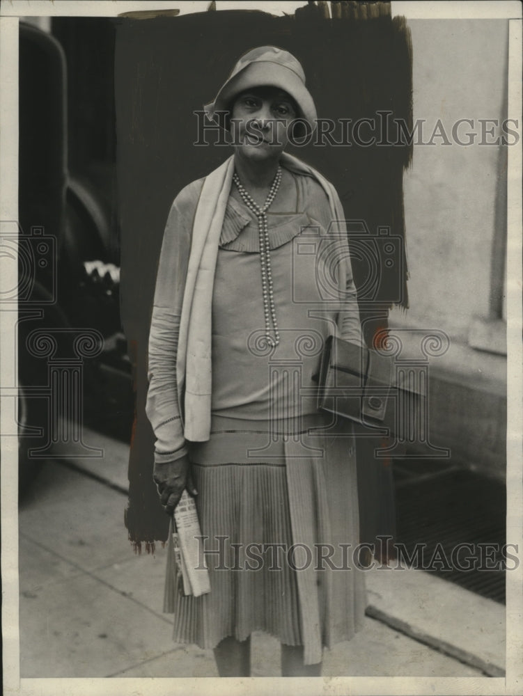 1929 Press Photo Mrs. George S. Williams Committeewoman called on President - Historic Images