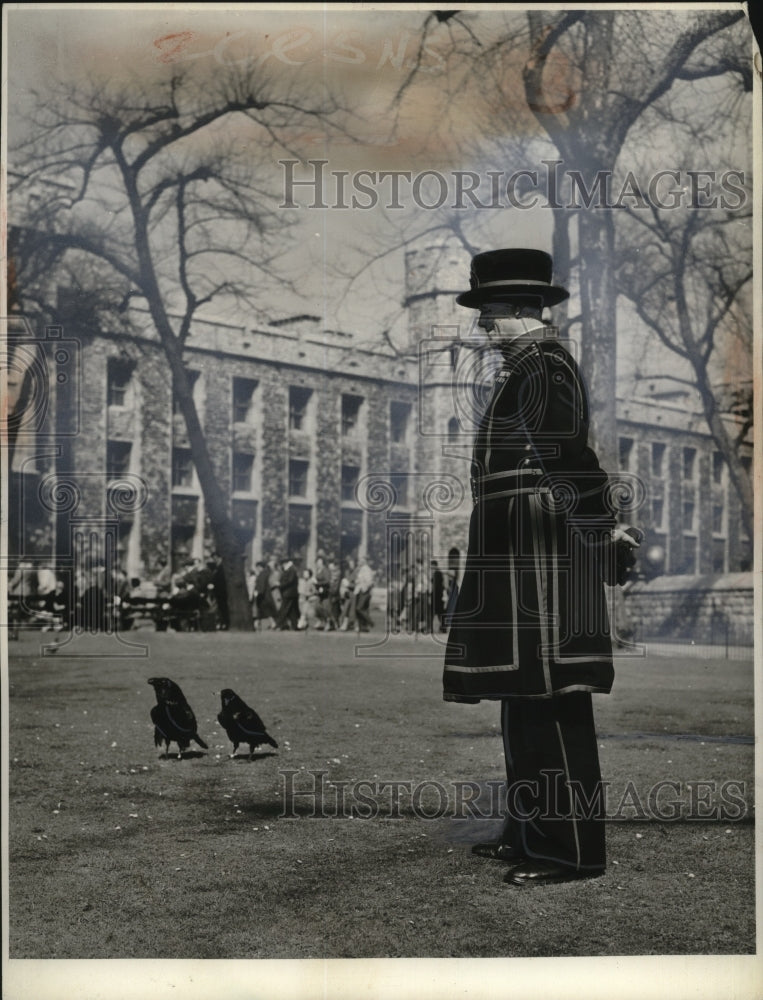 1958 Press Photo Tower of London Raven - Historic Images