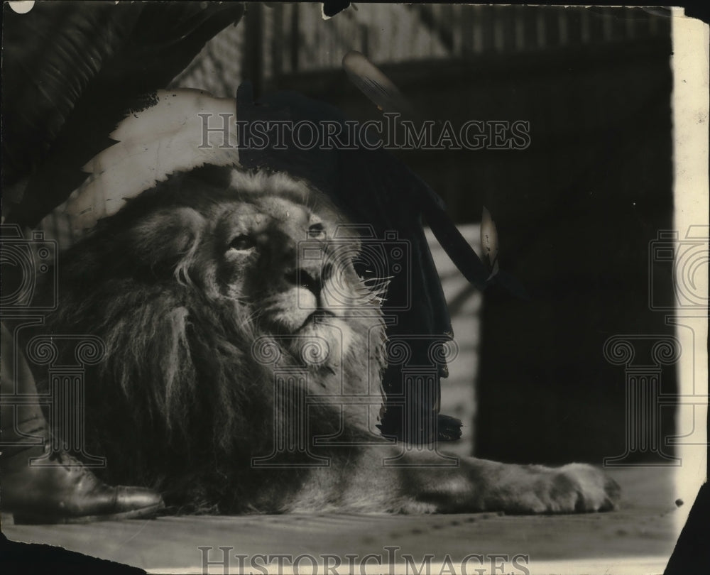 1925 Press Photo Barbara, Brookside Park - neo22400-Historic Images