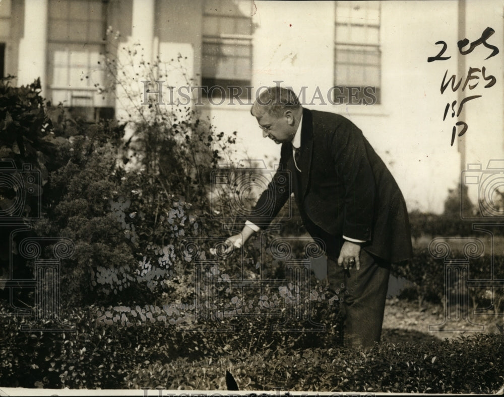 1924 Press Photo California Senator Hiram Johnson on campaign trail - Historic Images