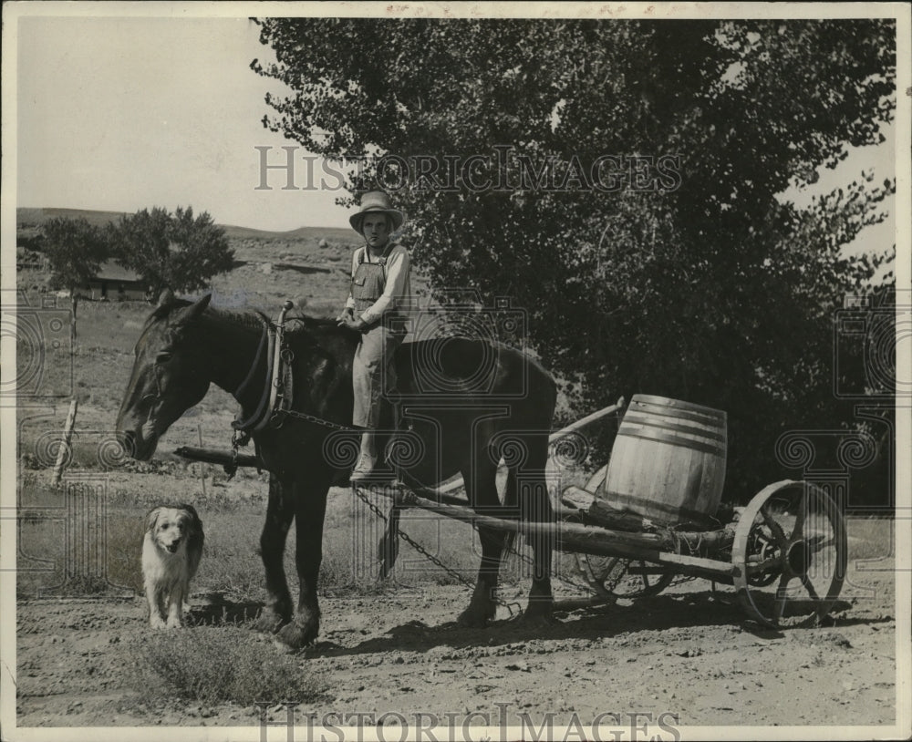 1936 Water has to be hauled by horse in a United States drought area - Historic Images