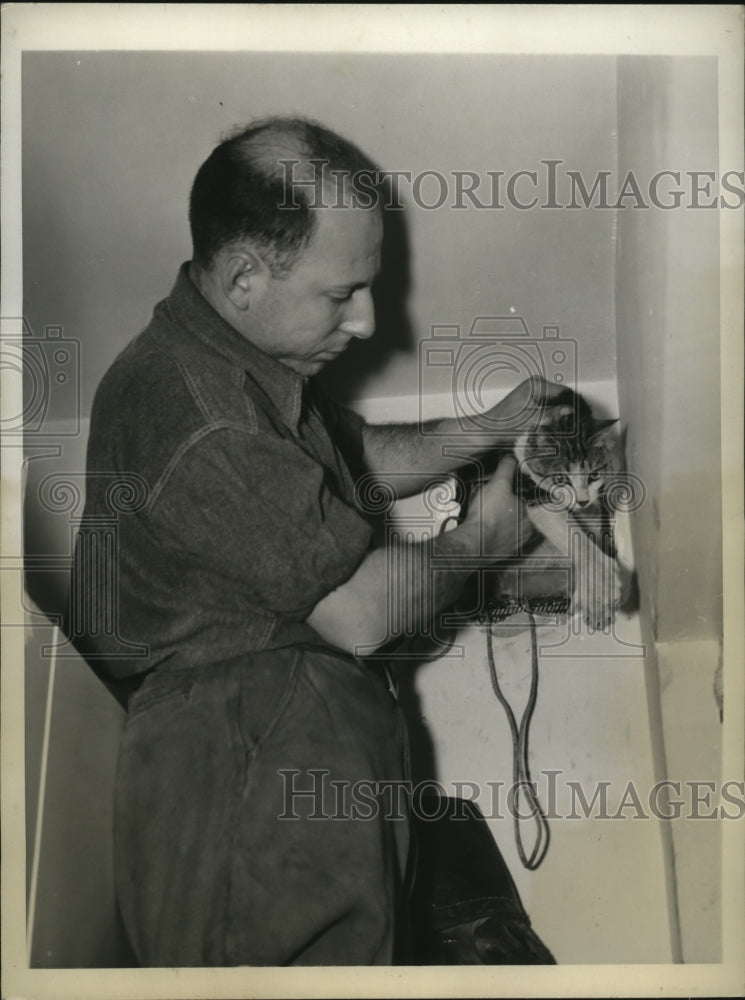 1943 Press Photo Cat rescued from apartment ventilation system in New York City - Historic Images