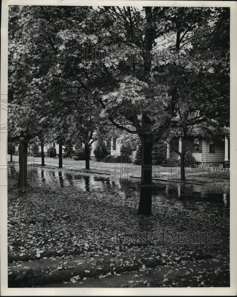 Press Photo New York Autumn in Hollis Queens - nera11987 - Historic Images