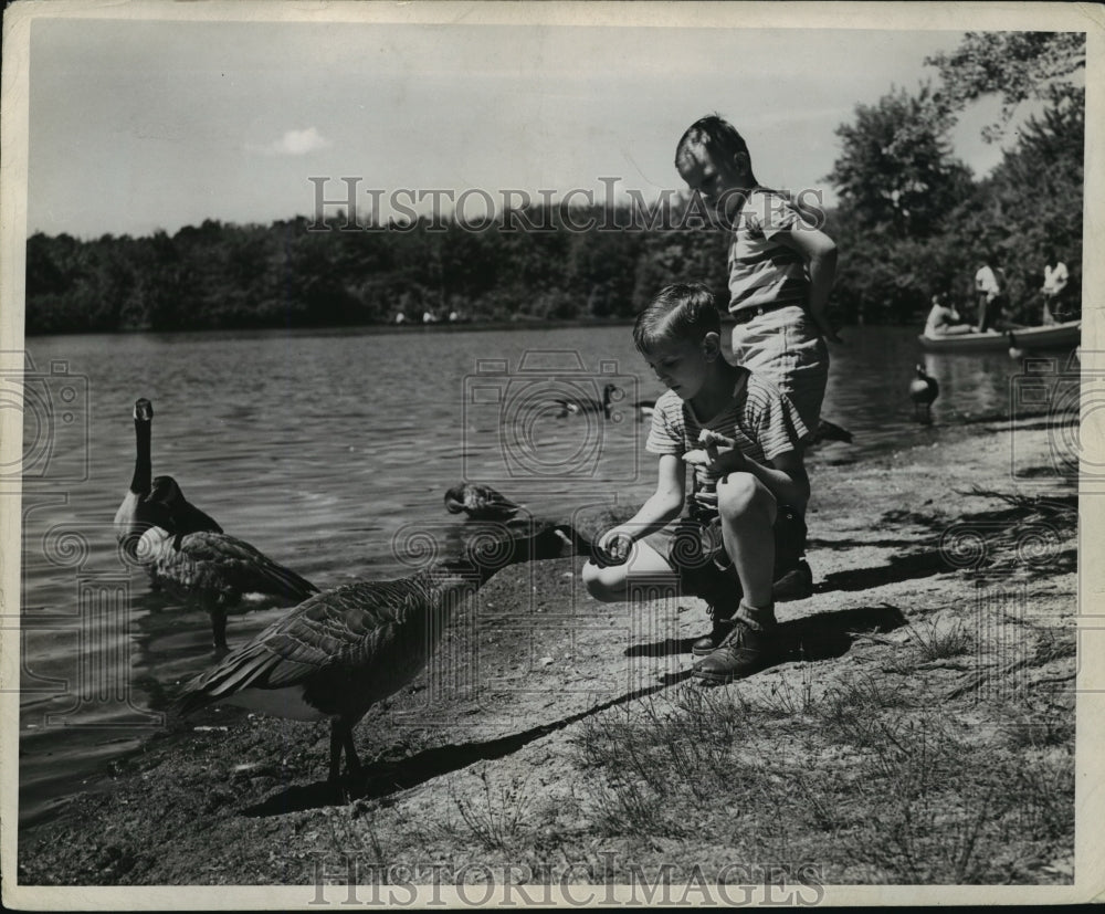 Press Photo Long Island Boys feeding the geese on shore of Belmont Lake - Historic Images