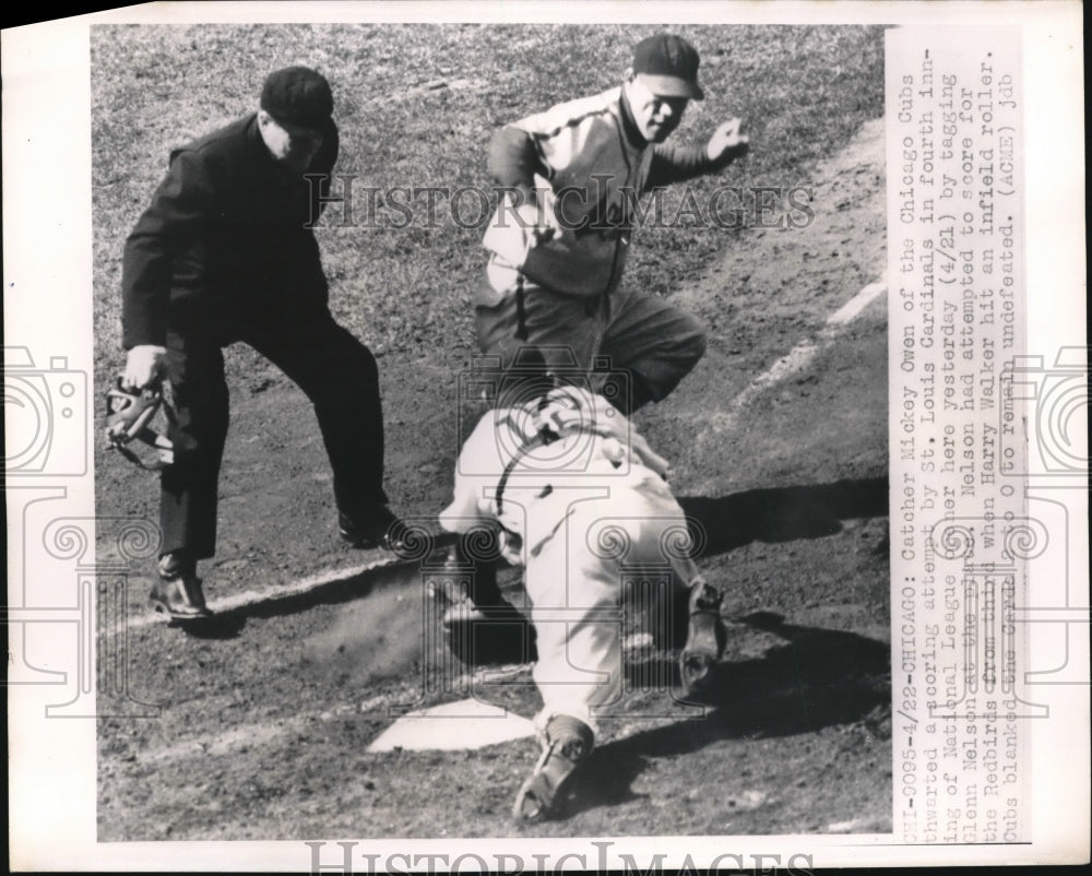 1950 Press Photo Mickey Owen, Chicago Cubs, Glenn Nelson, St. Louis Cardinals - Historic Images