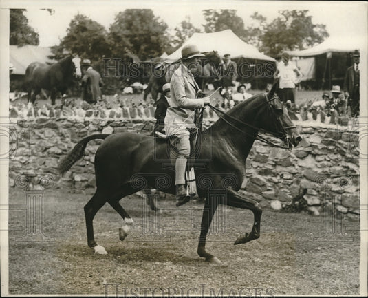 1929 Press Photo Welfth Annual Stamford Horse Show - nes10304 - Historic Images