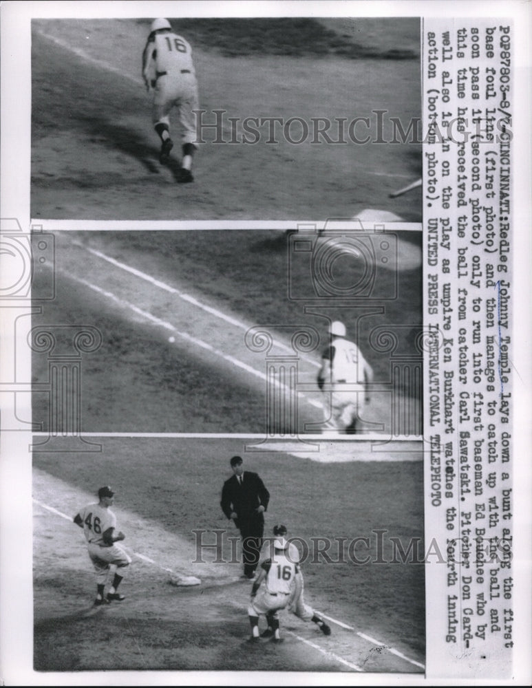 1958 Press Photo Johnny Temple Lays Down Bunt for Cincinnati - nes10655 - Historic Images