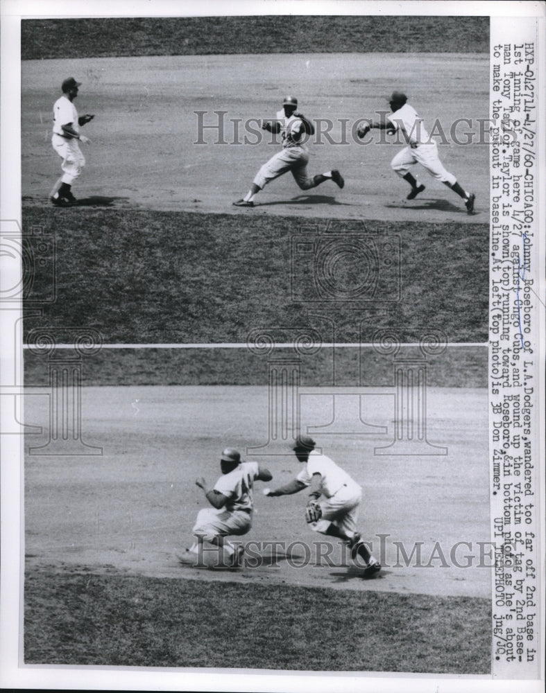 1960 Press Photo LA Dodgers Johnny Roseboro against Chgo Cubs Tony Taylor - Historic Images