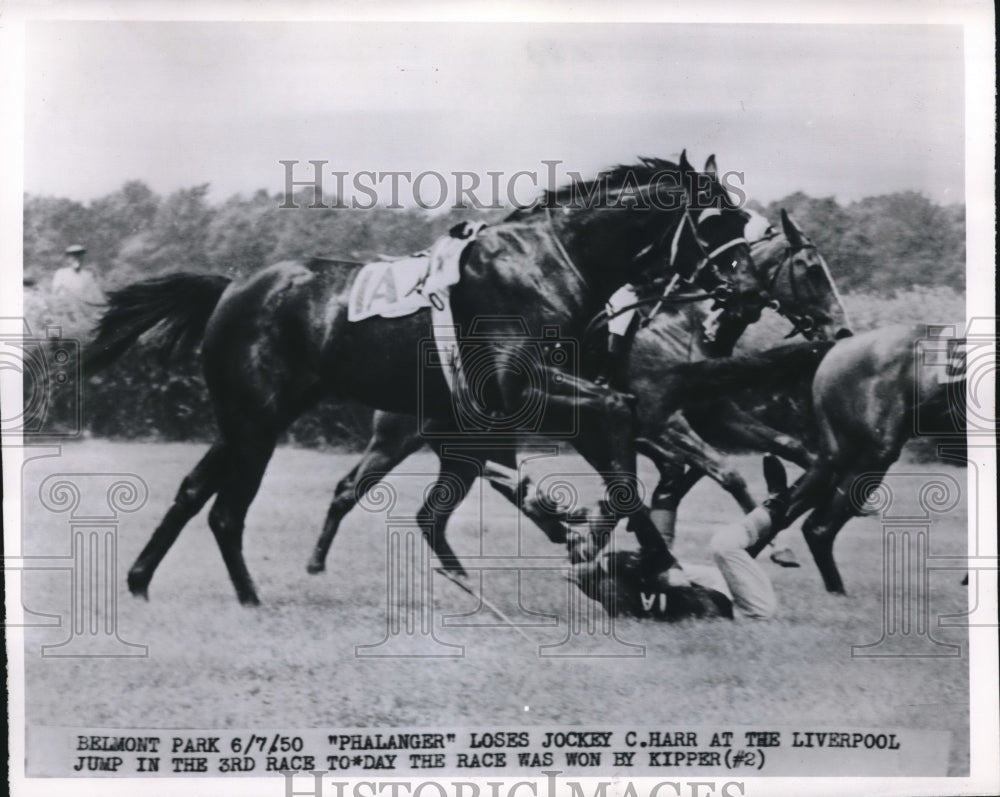 1950 Press Photo Phalanger loses jockey C Harr at Liverpool jump race - Historic Images