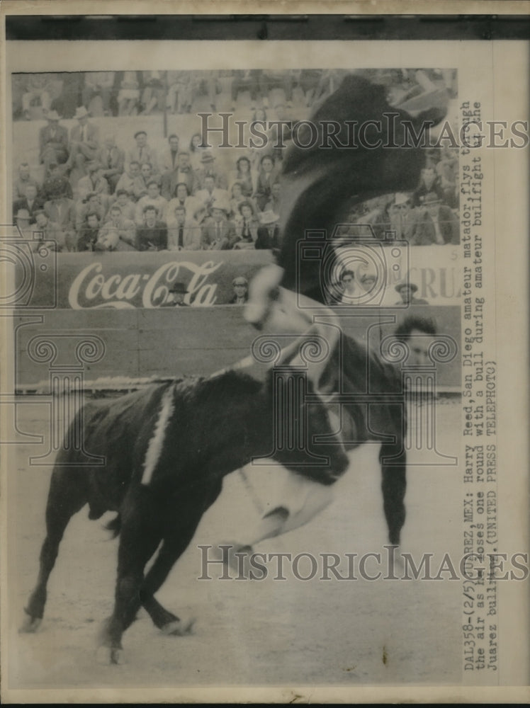 1952 Press Photo Juarez, Mexico Harry reed , amateur matador throw by bull - Historic Images